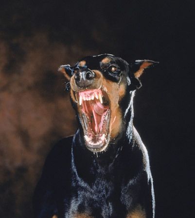 7b033f0bc044f816c8fa786141a03d76.jpg 7b033f0bc044f816c8fa786141a03d76.jpg